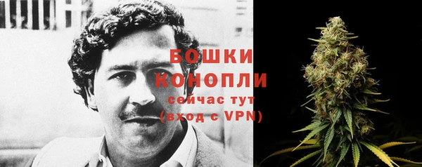 дживик Сосновка