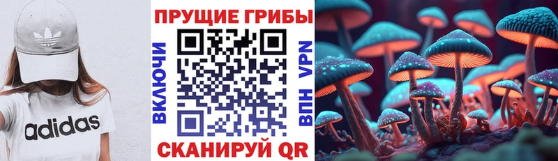 Галлюциногенные грибы Cubensis Судогда