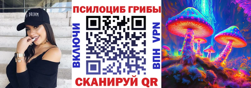 kraken ССЫЛКА  Судогда  Псилоцибиновые грибы Psilocybine cubensis  закладки 